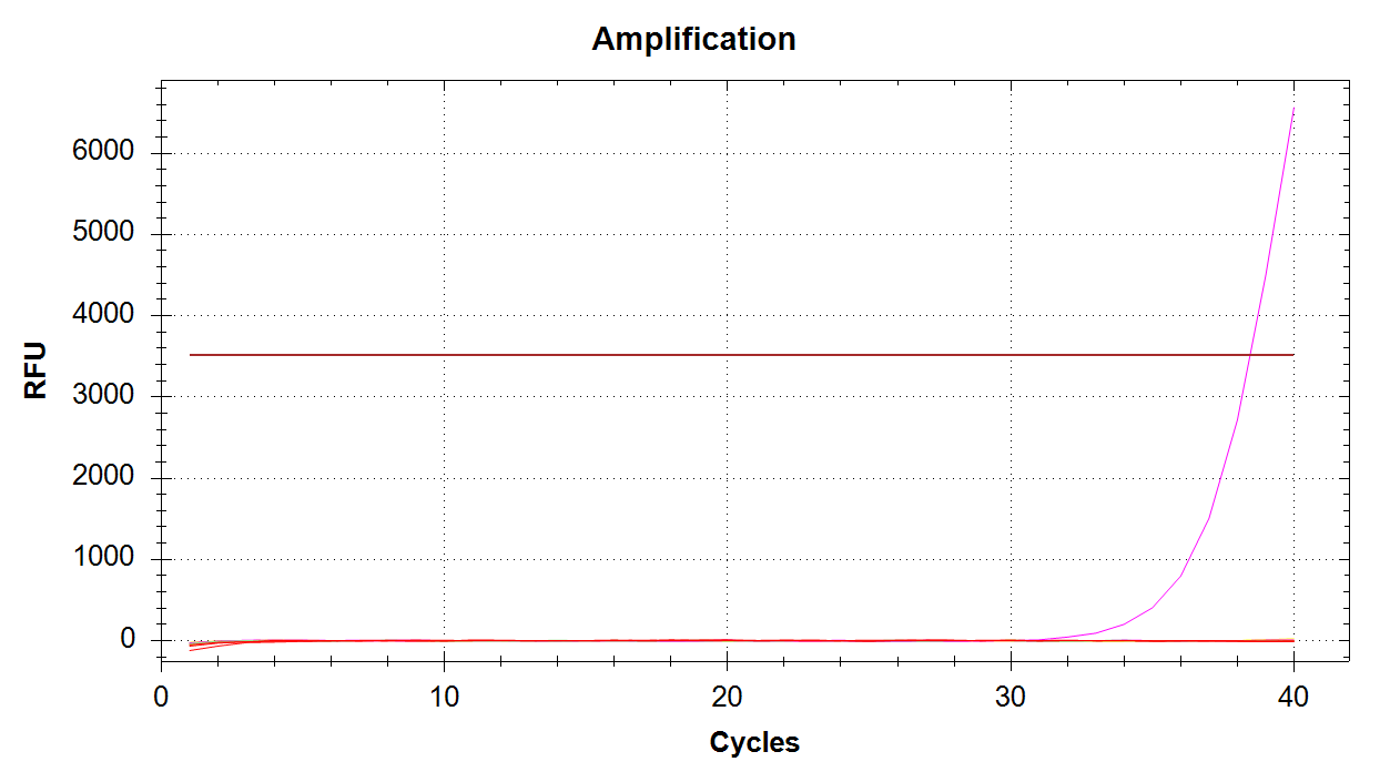 CAct Amplification plot showing a single sample amplification of 100pg input DNA at Cq ~= 39