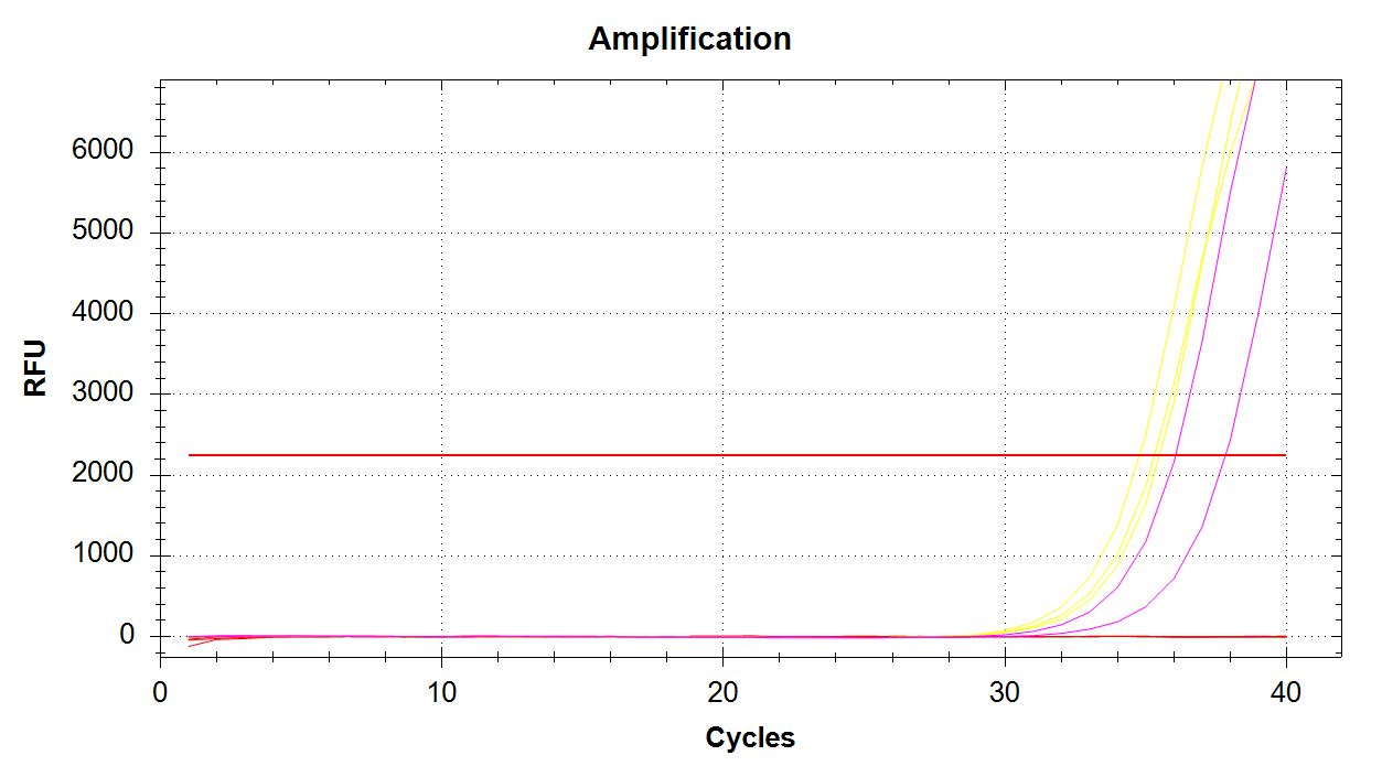 DAct Amplification plot showing sample amplification of 1000pg (yellow lines) and 100pg (pink lines) of input DNA