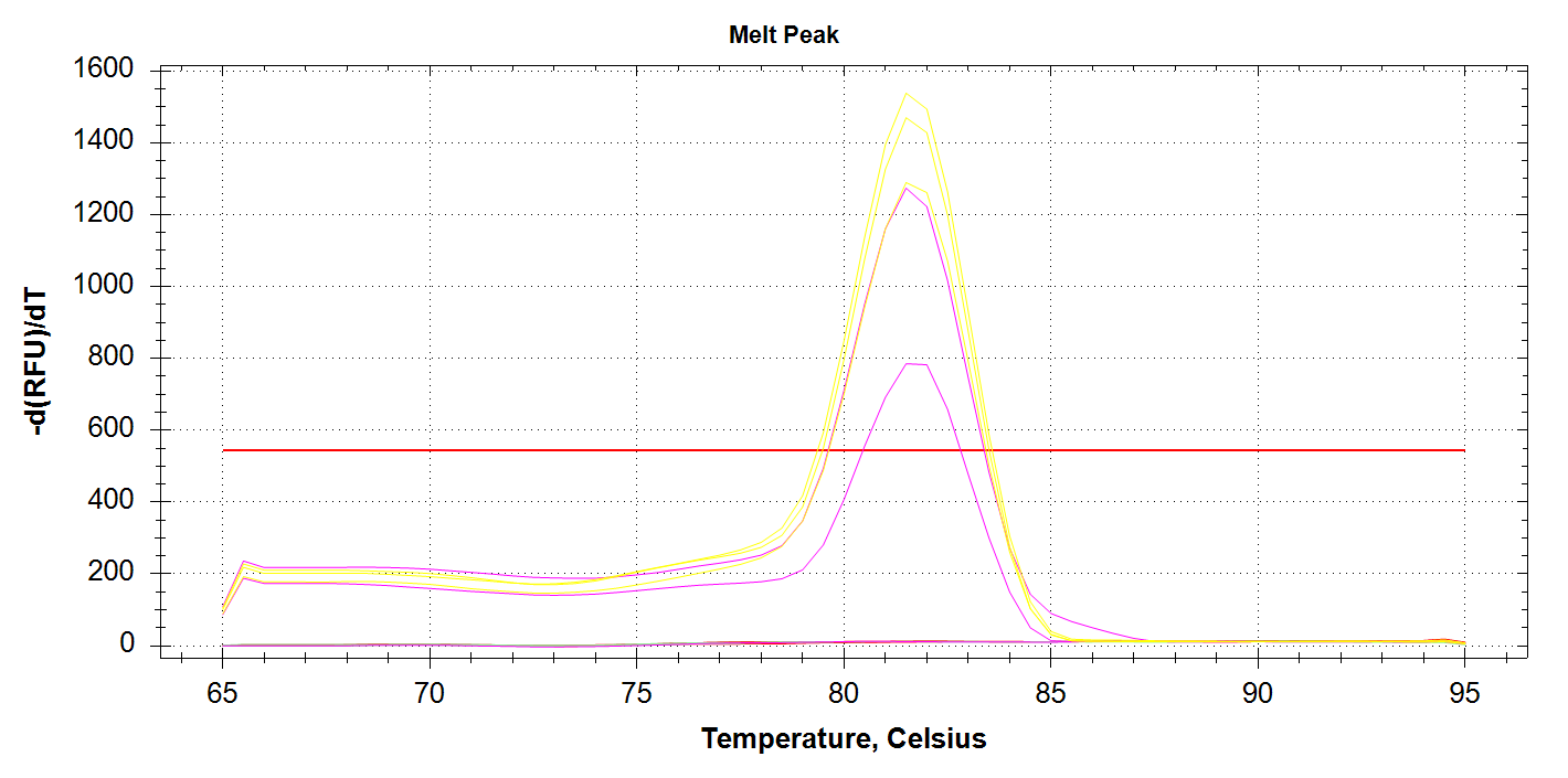 DAct melt plot showing melt curves of 1000pg (yellow lines) and 100pg (pink lines) of input DNA