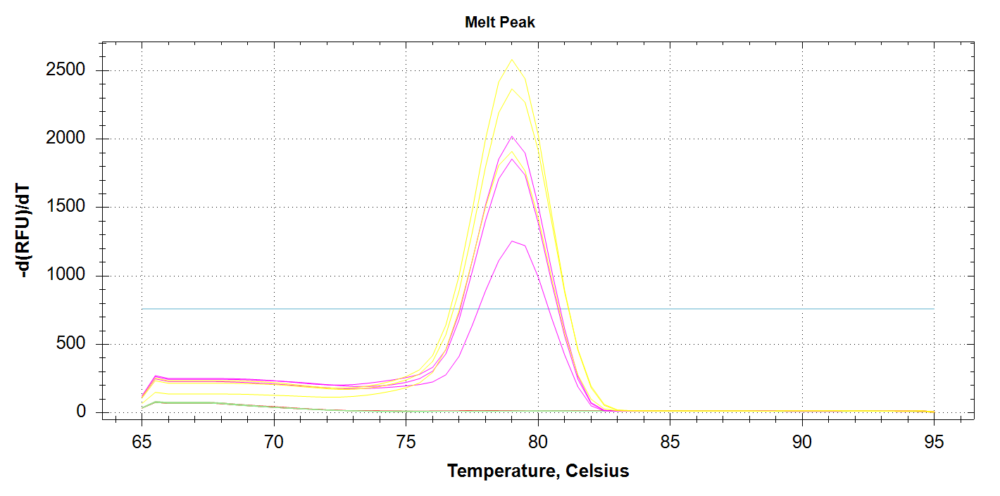 Mcap_paxC melt plot showing melt curves of 1000pg (yellow lines) and 100pg (pink lines) of input DNA